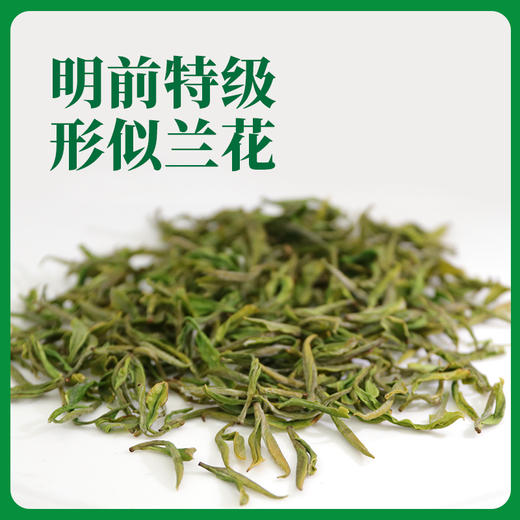 【包邮到家｜安吉白茶】明前特级白茶｜产自湖州安吉的核心保护区内优质茶园，原料来源有保障、可溯源！｜游离氨基酸总量7.8%，更鲜更柔！｜制作工艺入选非文化遗产代表作名录   如风生活特惠 商品图1