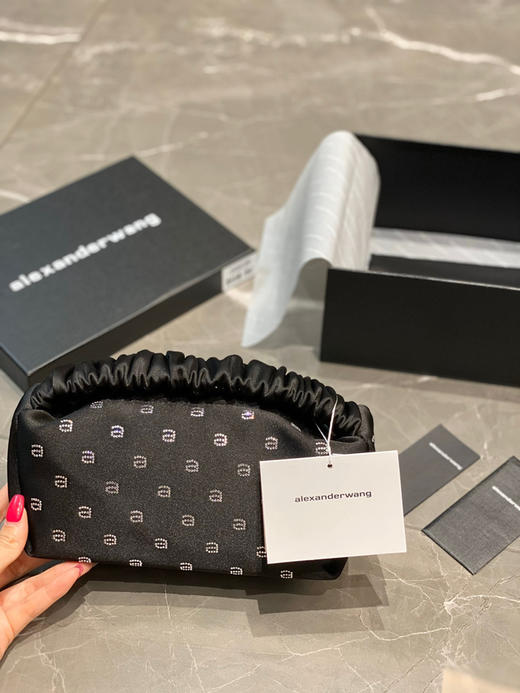 Aw大王丝绸饭盒包 商品图0