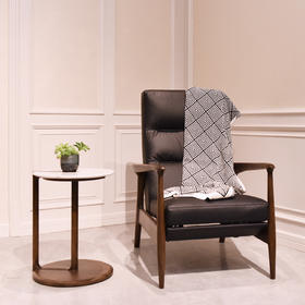 【现代风-CY218休闲沙发】现代风/客厅/实木/多功能休闲椅