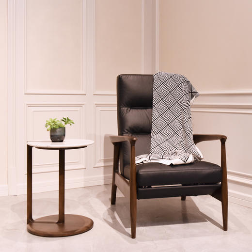 【现代风-CY218休闲沙发】现代风/客厅/实木/多功能休闲椅 商品图0