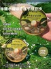 【半糖小福系类】   开盖即食，一提6碗 配料表真的，超级干净， 手工熬制的 入口绵密又有颗粒感 与这个夏天我的冰箱为它预留… 商品缩略图1