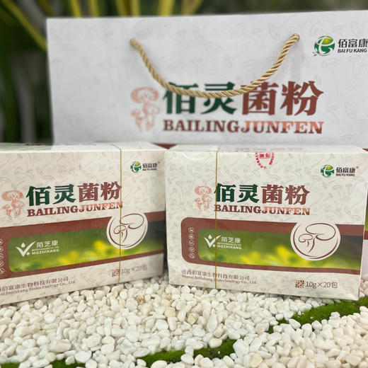 佰灵菌丝粉（一提六盒）新老包装随机发货 商品图1