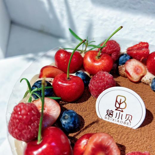 迷雾森林—水果巧克力生日蛋糕（樱桃随产季颜色不同） 商品图1