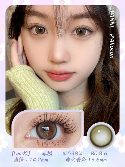 *Winni温妮Levi brown棕 14.2mm【年抛1片】 商品图1