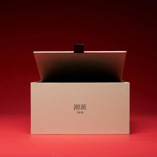 沏派飞行沏茶便携茶具礼盒户外旅游茶器茶叶伴手礼网红小众送男友 商品图3