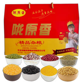 LYX-崆峒山陇原香精品杂粮礼盒