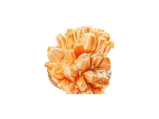 越南红肉菠萝蜜 商品图0