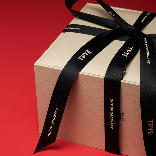 沏派飞行沏茶便携茶具礼盒户外旅游茶器茶叶伴手礼网红小众送男友 商品图6