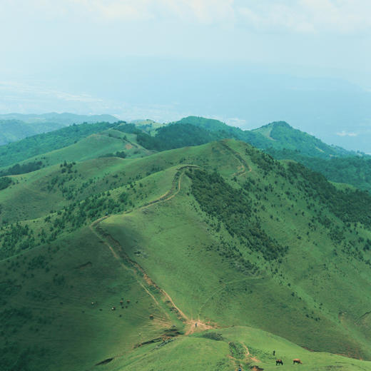 成人徒步 | 3.15周日寻甸凤龙山，草原徒步当日往返， 打卡高山草甸云端牧场，看昆明小新西兰！ 商品图13