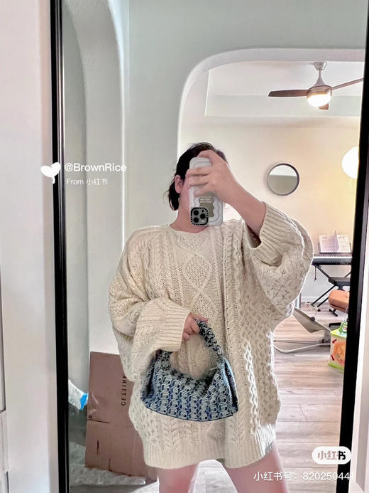 Aw大王丝绸饭盒包 商品图8