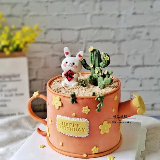 茶杯兔 商品图0