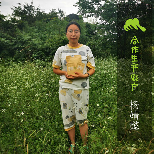 生态高坡土豆  | 合作生产* Ecological High Slope Potatoes | Coproduction 商品图1