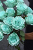 厄瓜多尔染色AQUAMARINE PEARL翡翠玫瑰10支 商品缩略图2