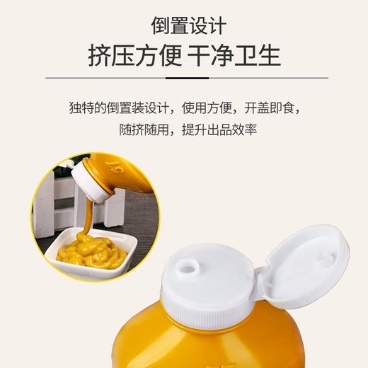 【中欧班列精选2瓶】美国亨氏 黄芥末调味酱 255g*2 商品图3