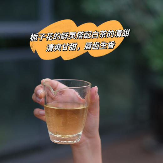 2025新茶魏老师栀子花银针,栀子花红茶,古法窖制非遗传承人魏老师纯手工窖制,香气清幽高雅 茶味清新自然！茶汤入口  沁春染夏  清新与馥郁兼具  带来独特的味觉享受 商品图7