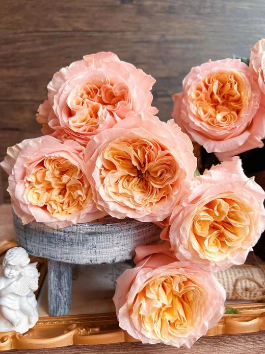 想象玫瑰【勇敢一点，你比自己想象得更好】简小姐精选奥斯汀玫瑰 想象10枝 2件包邮 下单72小时发出 商品图6