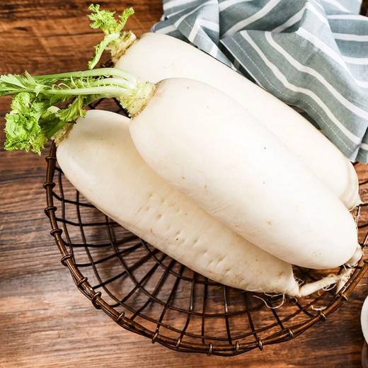 散称北山白萝卜 商品图0