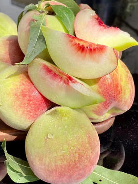 周五配送！云南红河产区，鹰嘴桃甜蜜如它，桃味浓浓，每年我们都差这么一口，才叫做有桃子的夏天😘，外型如老鹰头，心红红的，属于硬桃，别看它青，口感倍甜！特级果，3斤/份