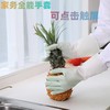 新款耐用耐磨四季洗碗手套女厚款防水家务厨房洗菜洗衣服橡胶乳胶 商品缩略图3