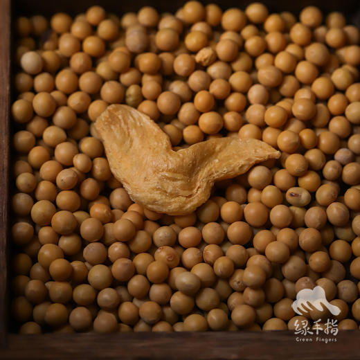 生态素鸡翅 （临期）  | 合作生产 * Ecological Vegetarian chicken wings  | Coproduction 商品图1