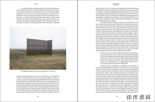 When Home Won't Let You Stay : Migration through Contemporary Art / 当家不让你留下：当代艺术中的移民 商品图1