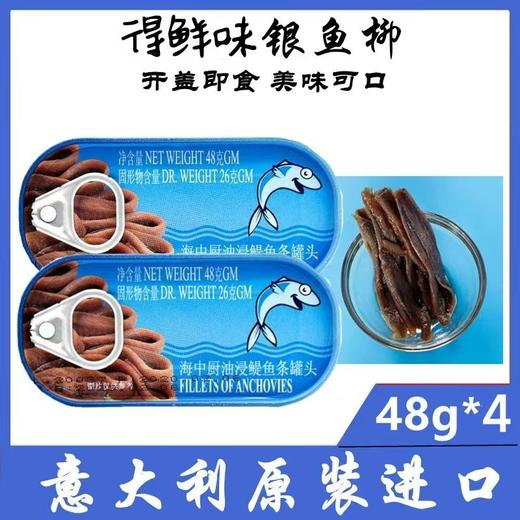 【中欧班列精选2盒】意大利原装进口海中厨鳀鱼条罐头油浸味 48g/盒SHRW 商品图0