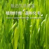 麦斯蒂冻干猫草粒60g罐装 0添加 鸡肉+猫草 促进肠道消化 猫零食批发 商品缩略图2