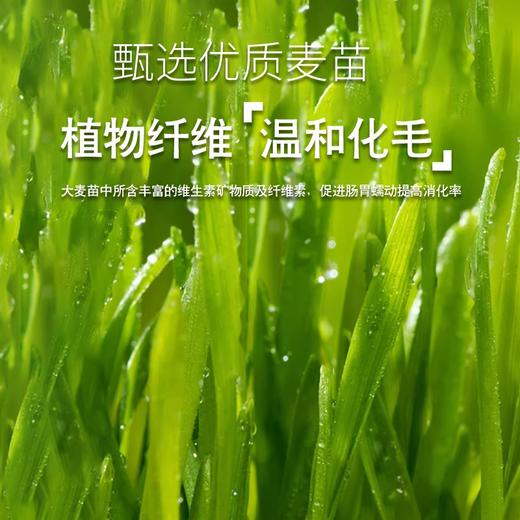 麦斯蒂冻干猫草粒60g罐装 0添加 鸡肉+猫草 促进肠道消化 猫零食批发 商品图2