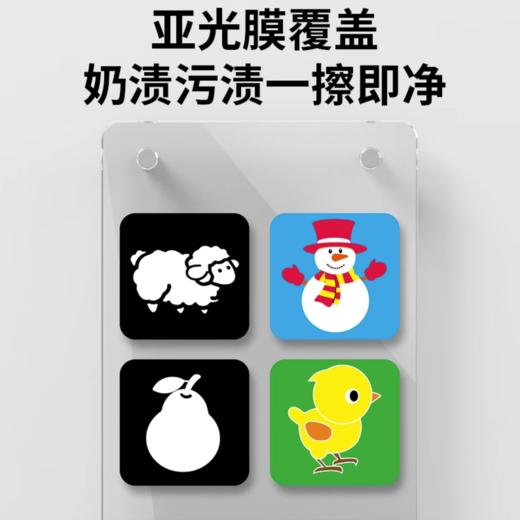 0-12个月新生婴儿早教黑白卡片视觉激发宝宝彩色追视益智纸质玩具 商品图4