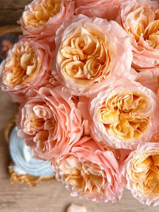 想象玫瑰【勇敢一点，你比自己想象得更好】简小姐精选奥斯汀玫瑰 想象10枝 2件包邮 下单72小时发出 商品图2