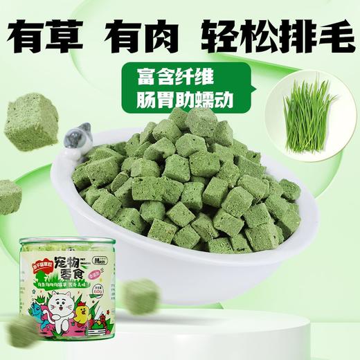 麦斯蒂冻干猫草粒60g罐装 0添加 鸡肉+猫草 促进肠道消化 猫零食批发 商品图1