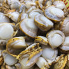 【下单后48小时发货】山东长岛红贝扇贝3斤装左右 商品缩略图13