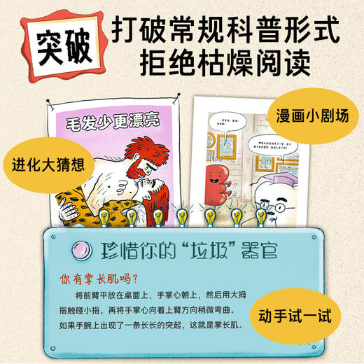 人类进化博物馆 商品图3