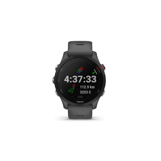 佳明手表（GARMIN) Forerunner 255 跑步运动智能手表双频定位 商品图0