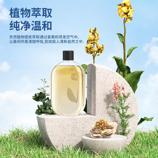 自动香薰机定时喷香机空气加湿清新剂车载房间香水除臭驱蚊扩香机 商品图3