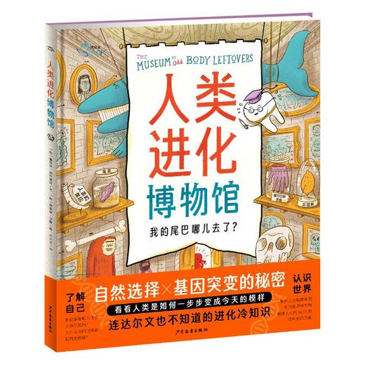 人类进化博物馆 商品图0