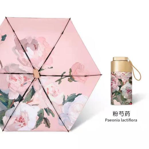 小巧便携胶囊太阳伞防晒防紫外线遮阳晴雨伞两用女迷你五折叠口袋 商品图6