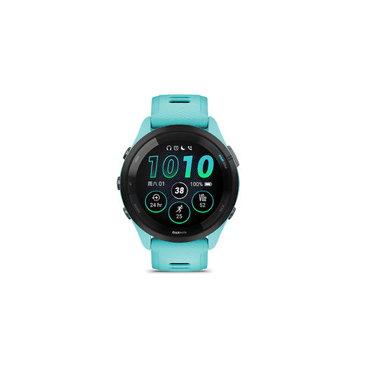 Garmin佳明手表  Forerunner  265 专业运动手表跑步马拉松骑行游泳血氧 商品图5