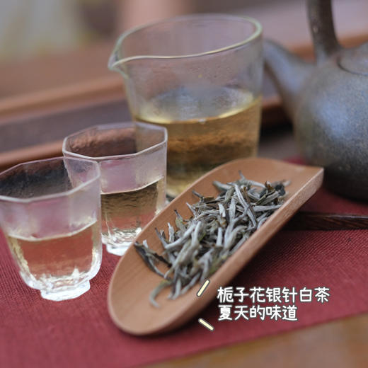 2025新茶魏老师栀子花银针,栀子花红茶,古法窖制非遗传承人魏老师纯手工窖制,香气清幽高雅 茶味清新自然！茶汤入口  沁春染夏  清新与馥郁兼具  带来独特的味觉享受 商品图6
