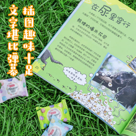【新东方】动物屎尿屁小百科(全3册) 英国原版引进 孩子的动物小百科 少儿自然科普图书 儿童绘本 青少年环保意识树立 新东方童书 商品图4