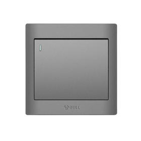 公牛 面板开关 G32 灰  一开多控