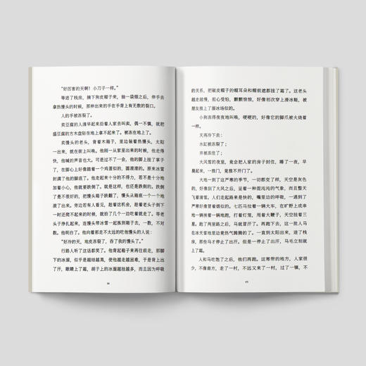 《呼兰河传》（萧红作品：她和她的黄金时代） 商品图3