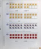 【中商原版】Math in Focus Grade K 焦点数学 预备级K 下册套装 学生书+课外练习作业本 英文原版 美国HMH教材小学新加坡数学 商品缩略图6