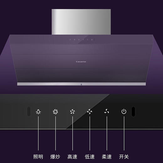 卡萨帝（Casarte）烟机 CXW-219-CK16CG 商品图4