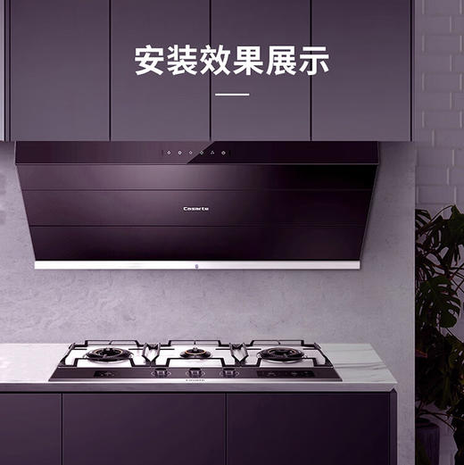 卡萨帝（Casarte）烟机 CXW-219-CK16CG 商品图6