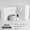 礼盒装！太空系列扩香石 商品缩略图6