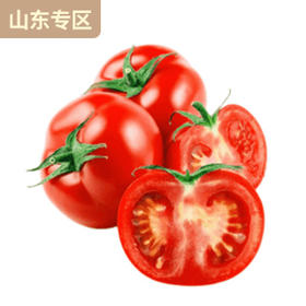 烟台海阳印象普罗旺斯西红柿4.5斤装