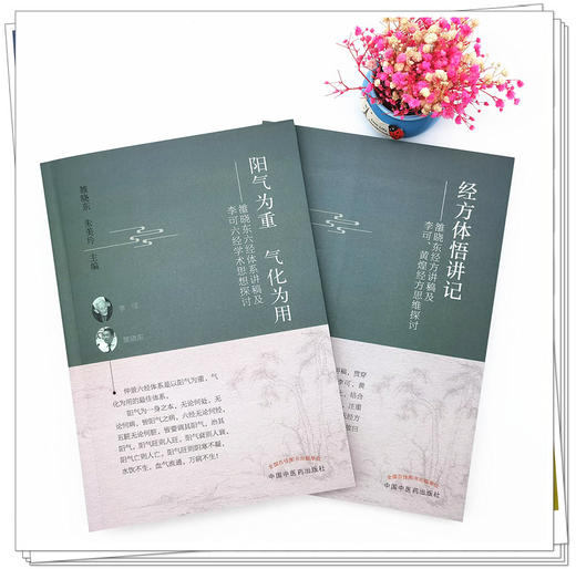 套装2本 经方体悟讲记+阳气为重 气化为用 雒晓东经方讲稿及李可 黄煌经方思维探讨 雒晓东 著 中国中医药出版社 中医临床书籍 商品图2