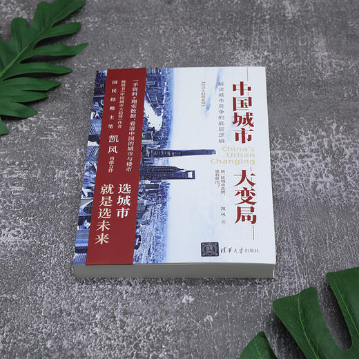 中国城市大变局 解读城市竞争的底层逻辑 经济大趋势系列 凯风 著 经济 商品图3