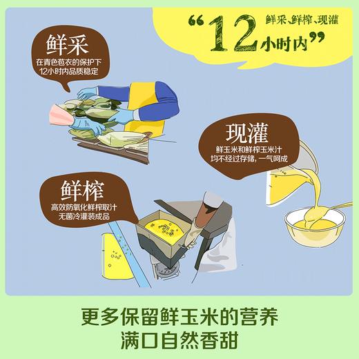 【临期特惠介意慎拍2024/12/26到期】中粮悠采鲜榨玉米汁饮料250ml*12 果蔬汁饮料 商品图4